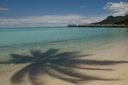 HoneyMoon 464.jpg